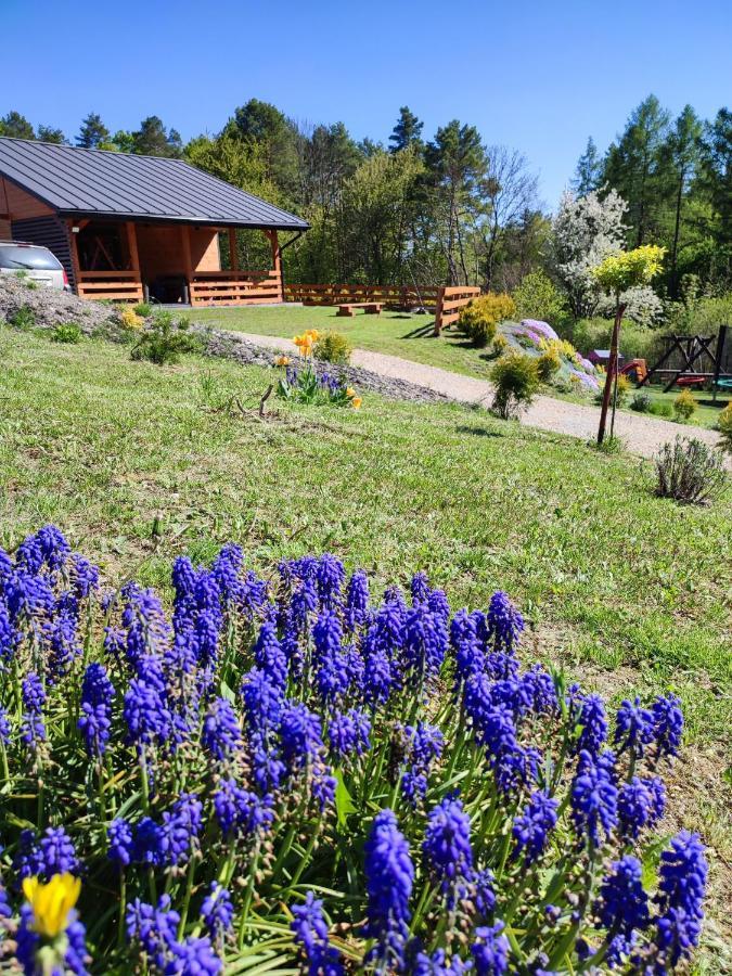 Ferienhaus Roztocze, Na Lesnym Wzgorzu Nr2,krasnobrod,zamosc, Zwierzyniec *