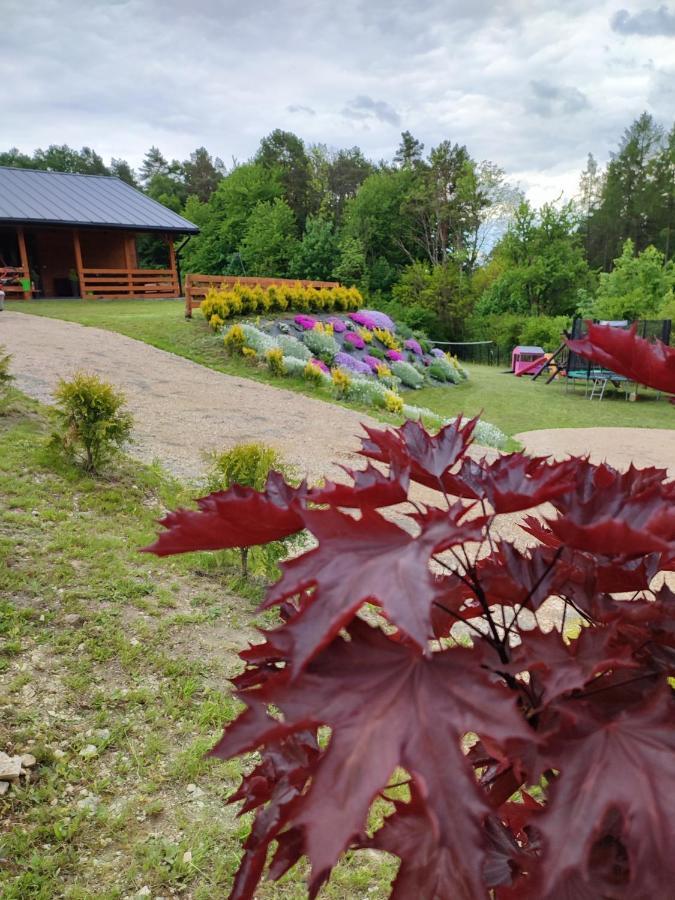 Ferienhaus Roztocze, Na Lesnym Wzgorzu Nr2,krasnobrod,zamosc, Zwierzyniec *