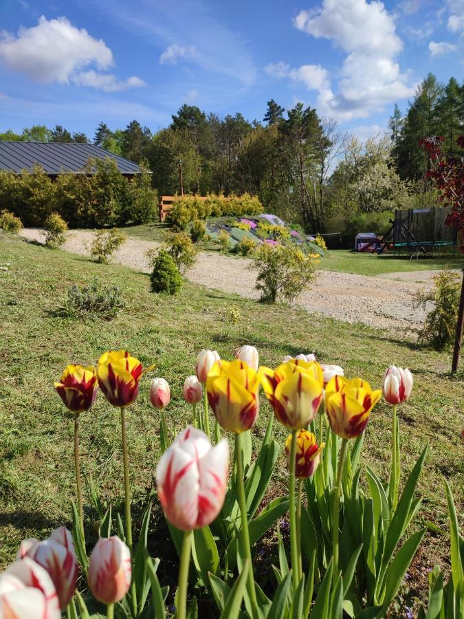 Roztocze, Na Lesnym Wzgorzu Nr2,krasnobrod,zamosc, Zwierzyniec Ferienhaus