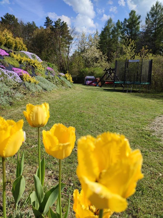 Roztocze, Na Lesnym Wzgorzu Nr2,krasnobrod,zamosc, Zwierzyniec Ferienhaus