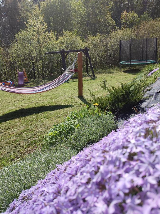 Roztocze, Na Lesnym Wzgorzu Nr2,krasnobrod,zamosc, Zwierzyniec, Jacuzzi * Adamow (Zamosc)