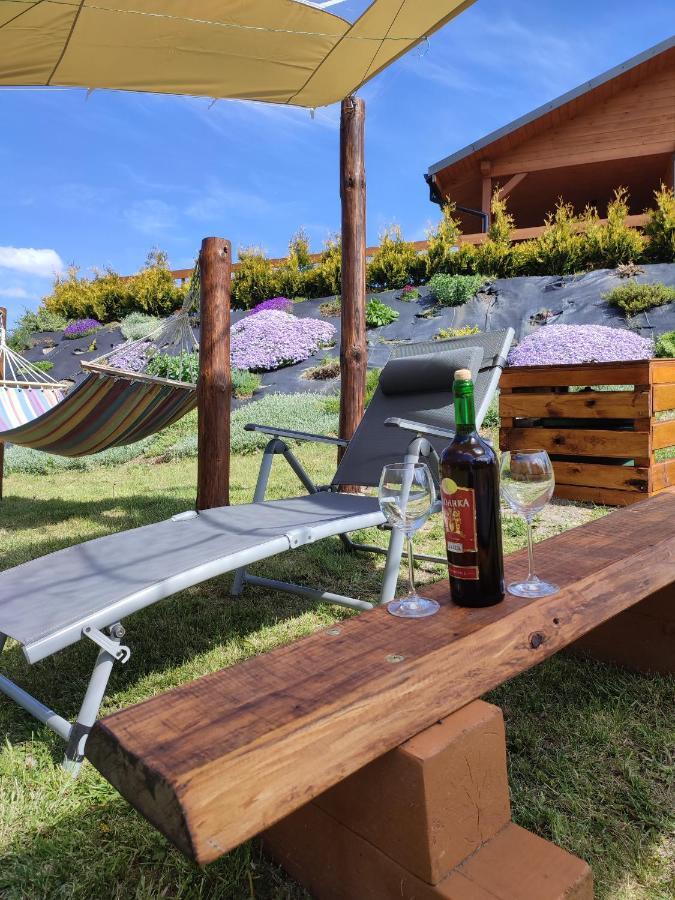 Roztocze, Na Lesnym Wzgorzu Nr2,krasnobrod,zamosc, Zwierzyniec, Jacuzzi
