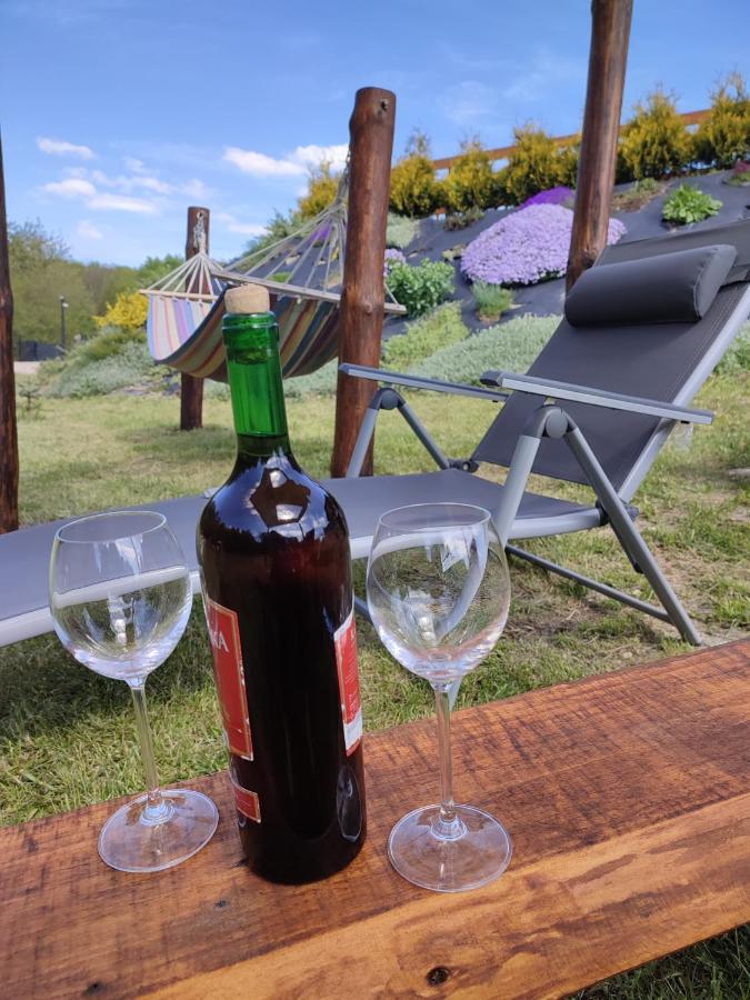 Roztocze, Na Lesnym Wzgorzu Nr2,krasnobrod,zamosc, Zwierzyniec *